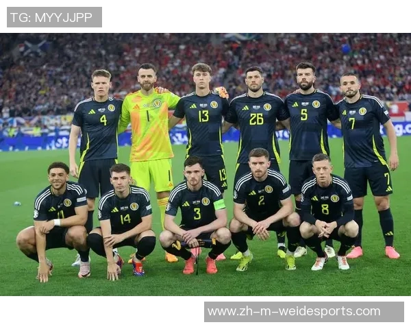 匈牙利与冰岛足球对决精彩回顾及赛后分析