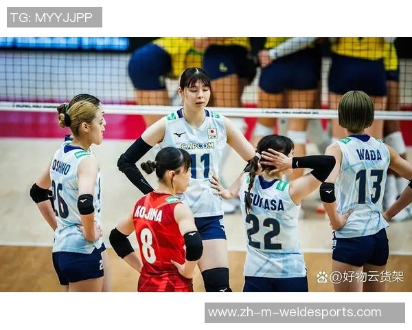 女排对决巴西与俄罗斯巅峰之战谁能问鼎荣耀之巅